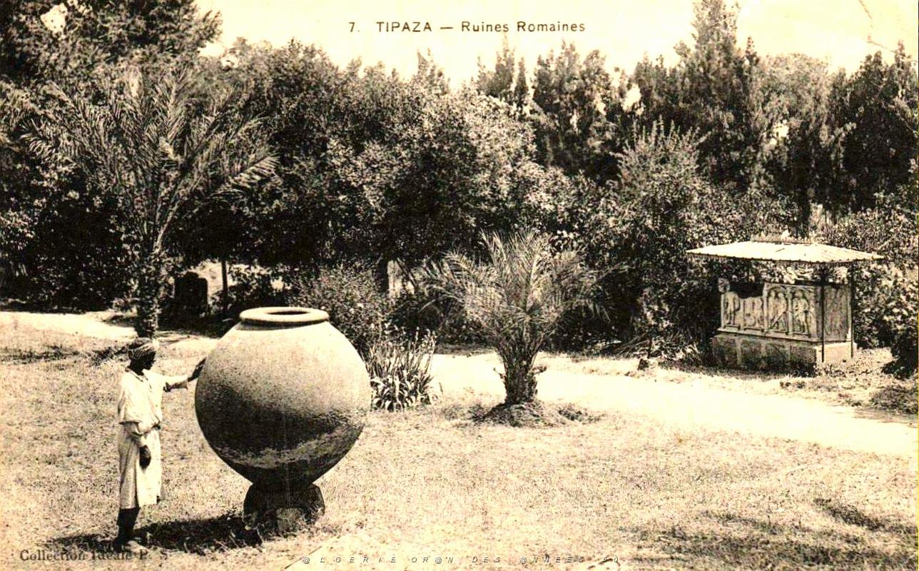 Tipasa - Ruines romaines 62.jpg